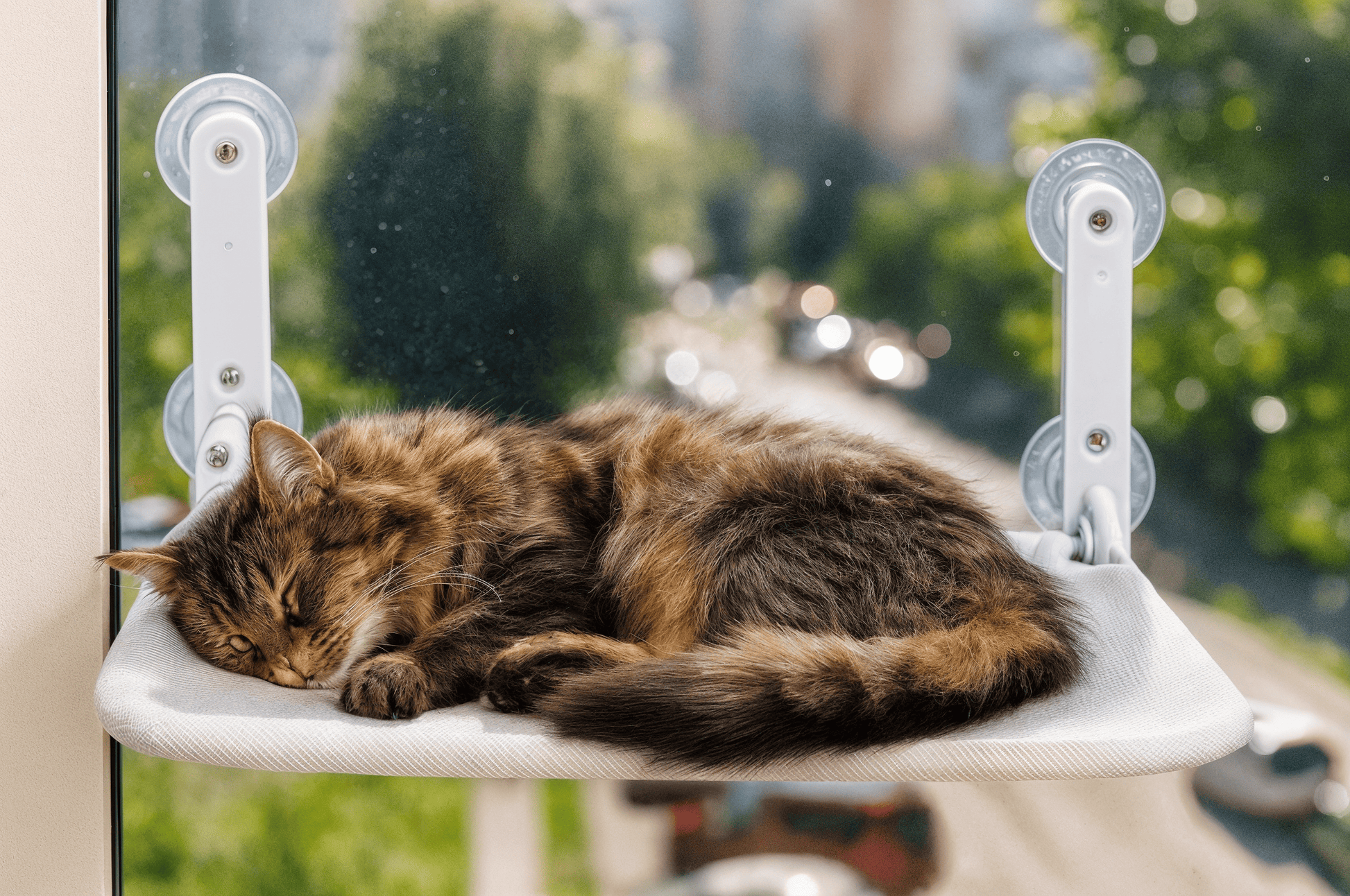 SunnyNap